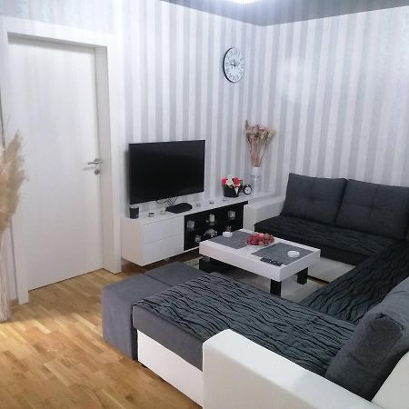 Nenadovic Apartman Obrenovac  المظهر الخارجي الصورة